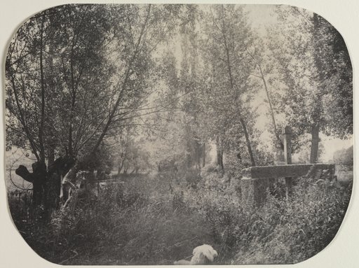 Untitled (Landscape with Dog)