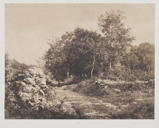 Untitled (Scene of Fontainebleau)