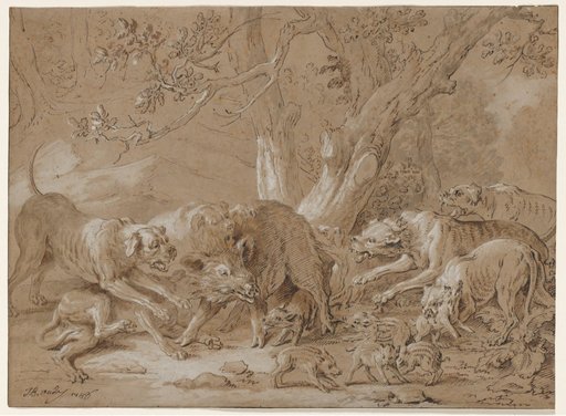 Wild Sow and Her Young Attacked by Dogs
