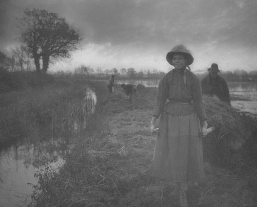 Poling the Marsh Hay