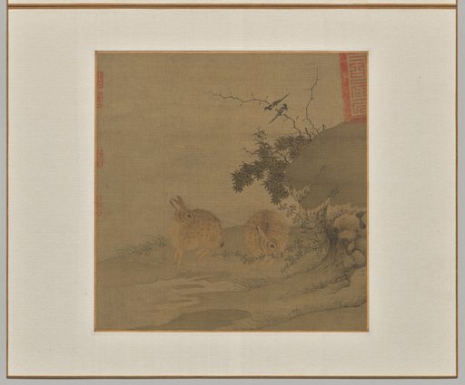 Magpies and Wild Rabbits