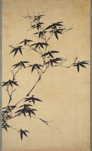 Bamboo