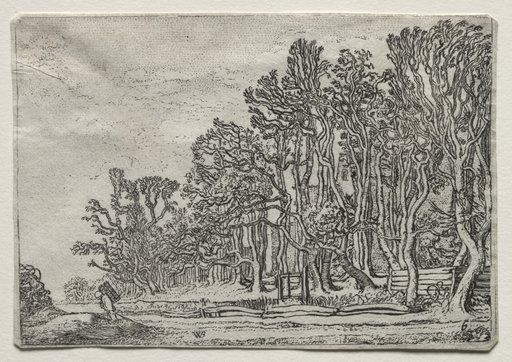 The Set of the Landscapes: Two Plank-Hedges