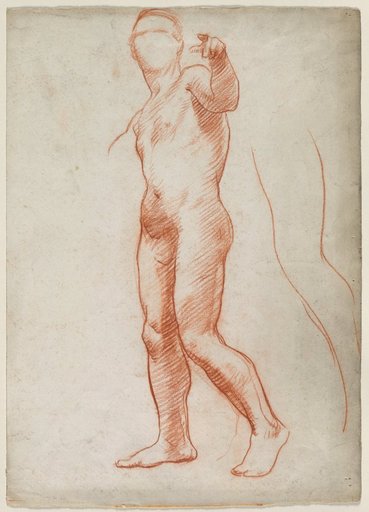 Standing Male Nude