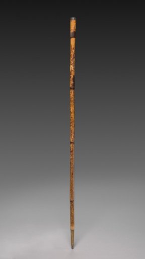 Walking Stick of Moses Seymour