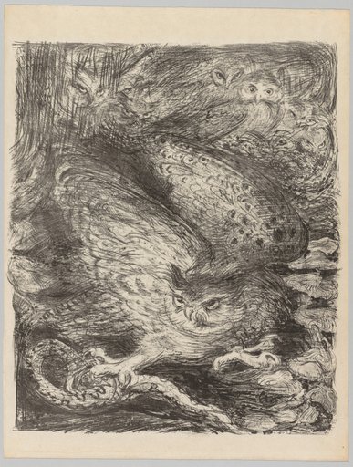 The Vintages!: Seven Owls and a Serpent