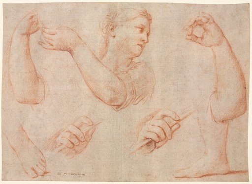 Study of a Young Woman Playing a Tambourine, and Studies of an Arm, Hands, and Feet (Studies for "Miriam Leading the Chorus of Women Who Give Thanks for the Routing of Pharoah"