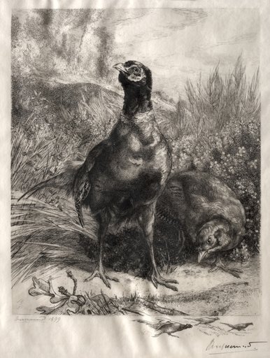 The Pheasants