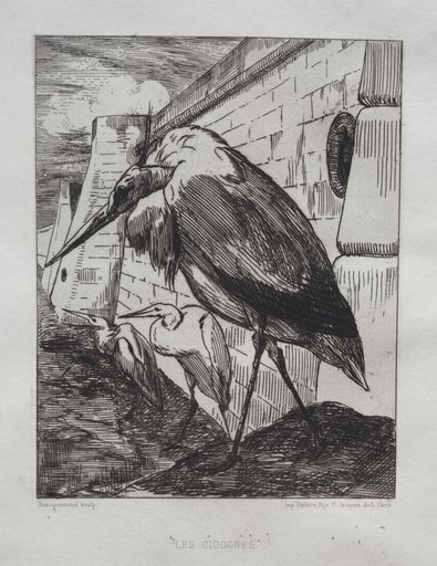 The Storks