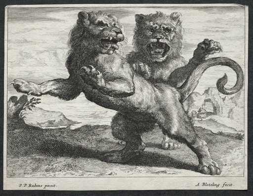 Various Lions