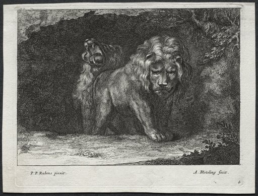 Various Lions