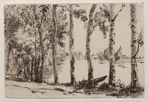 Aspens on the Bank of the Seine