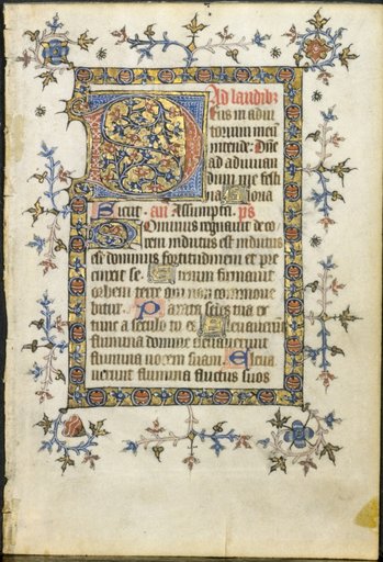 Leaf from a Book of Hours: Initial D