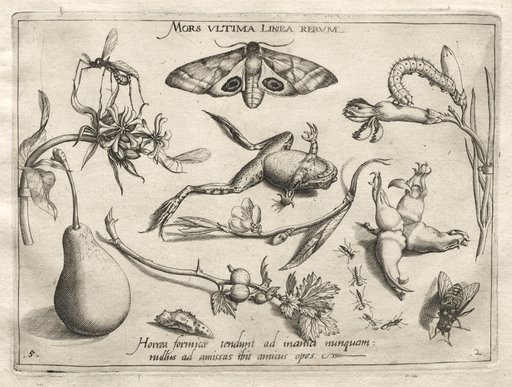 Archetypes and Studies: Death is the line that marks the end of all (Part II, plate 5)