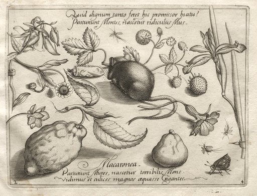 Archetypes and Studies: What can emerge in keeping with such a cavernous promise? (Part IV, plate 2)