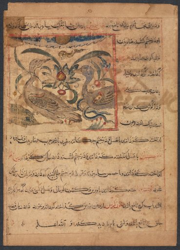 "Benefits of the Parts of Vultures" (From the Manafi' al-Haywan of Abu Sai'd Ubayd-Allay Ibn Bakhtishu) (verso)