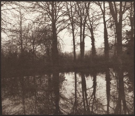 Winter Trees Reflected in a Pond