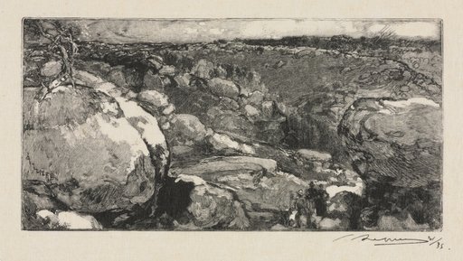 Fontainebleau Forest: The Cirque of Long-Rocher