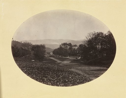 A Road in Williamstown