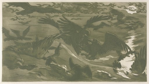 Birds of Prey