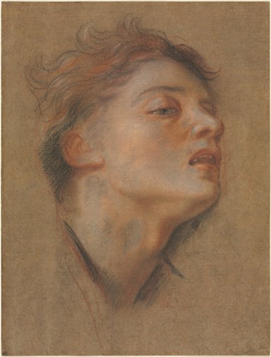 Head of a Young Man