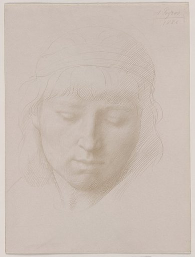Head of a Man