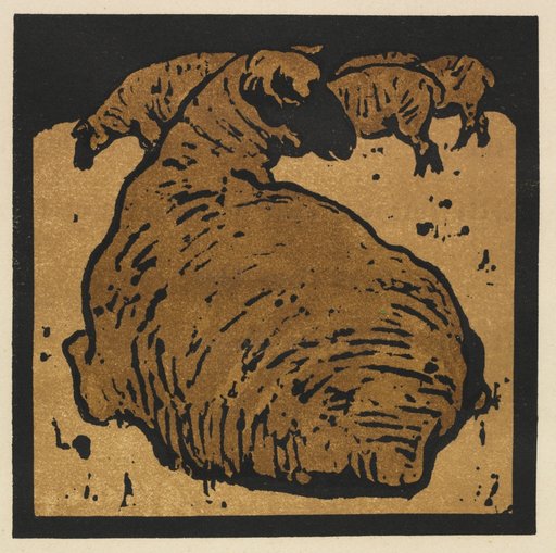 The Square Book of Animals: The Simple Sheep