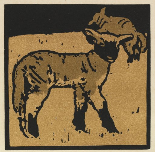 The Square Book of Animals: The Very Tame Lamb
