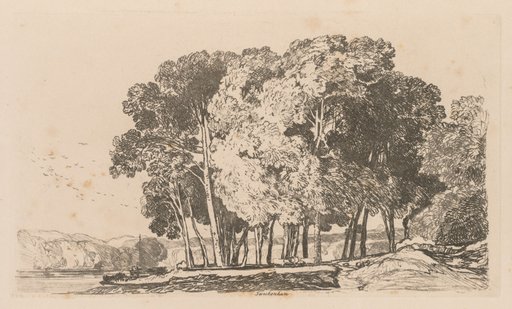Liber Studiorum: Plate 3, Trees near Twickenham