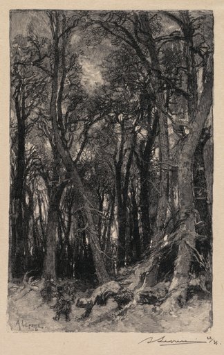 Fontainebleau Forest: Bas-Bréau (La Forêt de Fontainebleau: Le Bas-Bréau)
