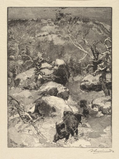 Fontainebleau Forest: Cuvier-Châtillon Cliff