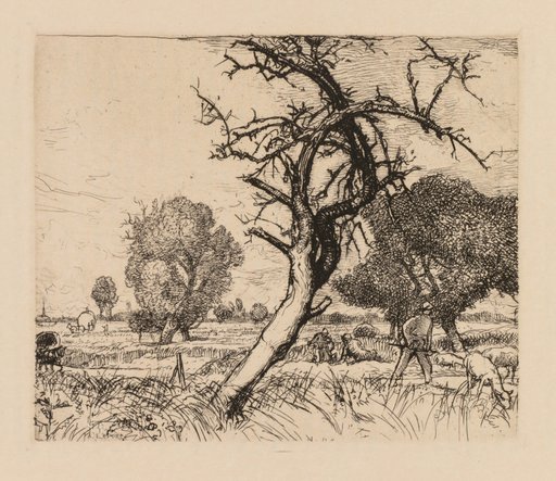 Auguste Lepère: Le pommier mort (Picardie)