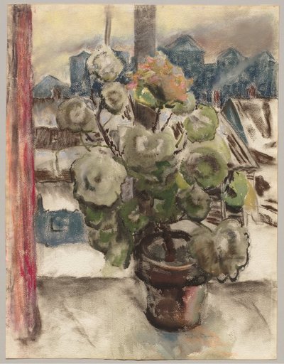The Geranium in My Window