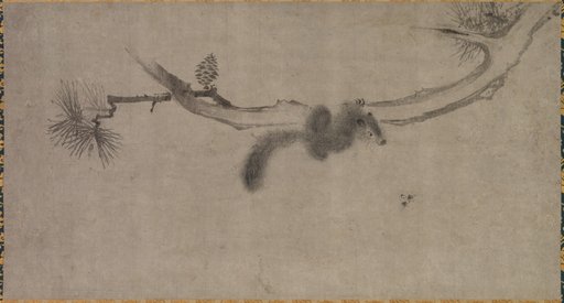 Squirrel on a Pine Branch