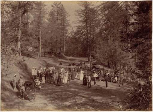 Badminton Party at Mashobra, Shimla