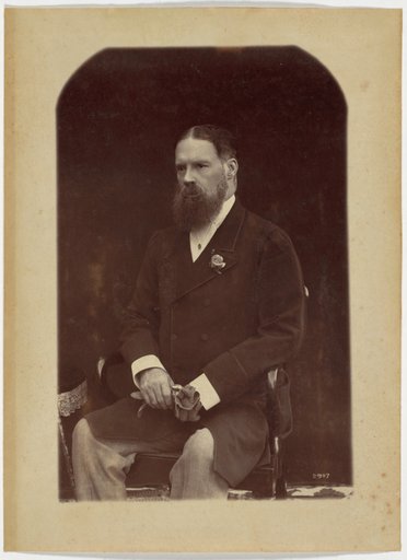 Portrait of a Gentleman