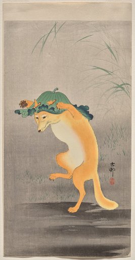 Dancing Fox