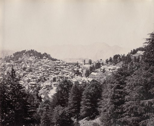 Shimla
