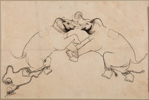 Two Elephants in Combat