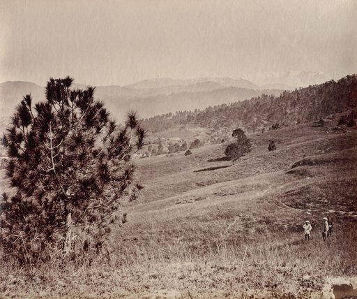 Landscape with Tree and Three Men, India