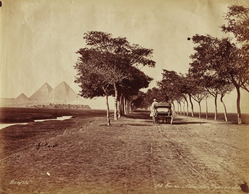 Caire. Allée de Pyramides