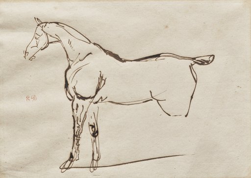 Study of a Horse