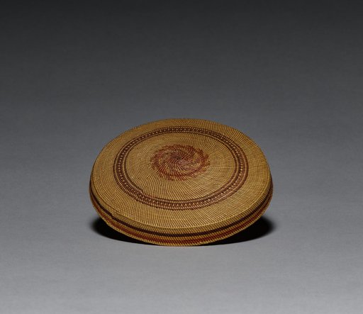 Lid for Bowl