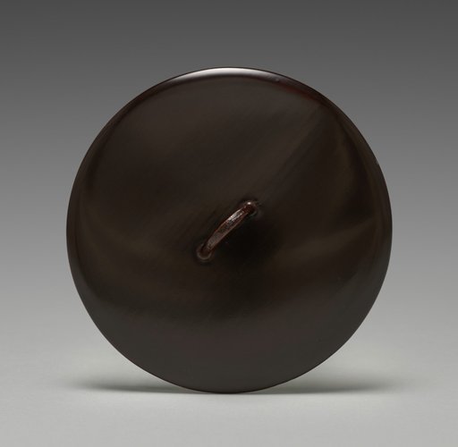 Lid for a Water Container with Shell and Seaweed