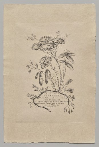 Persian Flowers