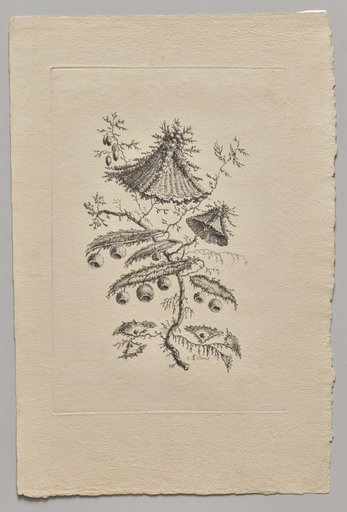 Persian Flowers