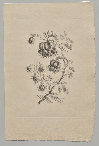 Persian Flowers