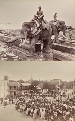 Untitled: (elephants moving blocks of wood, recto); (procession or crowd, verso)