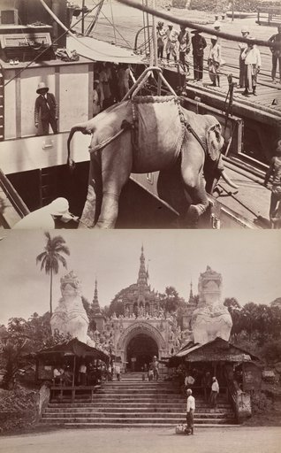 Untitled: (elephant being loaded onto a ship, recto); (steps and building, verso)