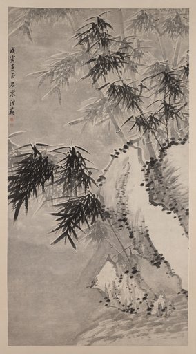 Bamboo in Snow